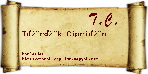 Török Ciprián névjegykártya